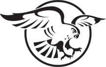 Merlin Logo